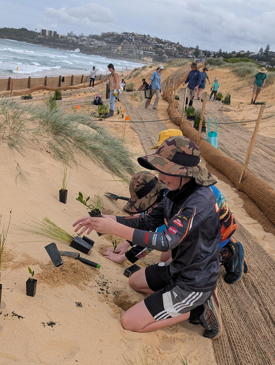 So many people in the community care about our dunes. Lets look after them.