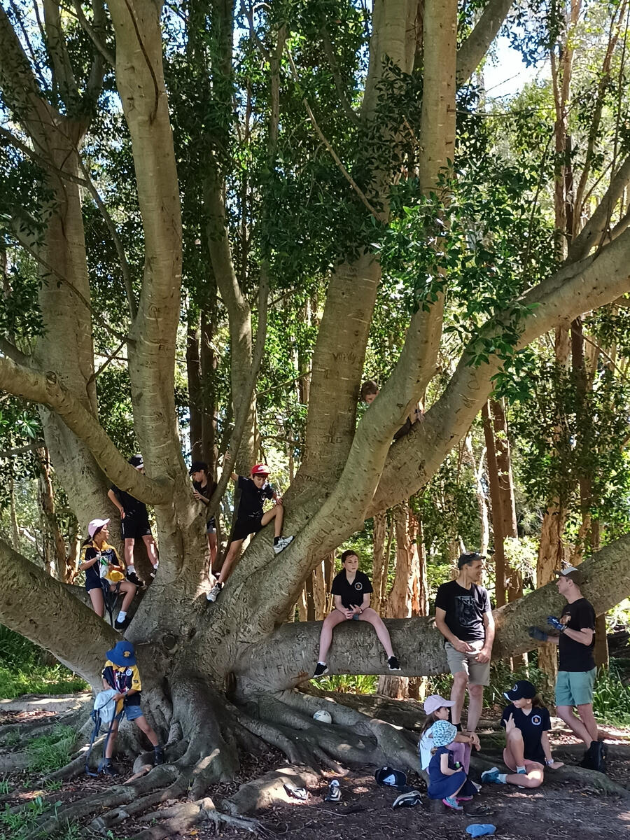 Clean Up Australia Day with Pathfinders